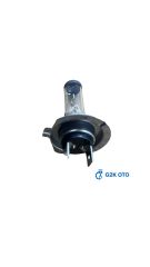 H7 12V 55W PX26D HALOGEN AMPUL