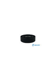 SLX TEMPRA TİPO ALTERNATÖR GERGİ RULMANI 46424716