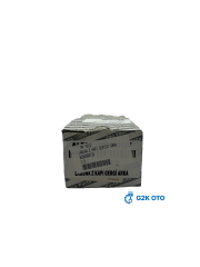 LAGUNA 2 KAPI GERGİSİ ARKA 8200000722