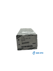 ARKA KAPI GERGİSİ – RENAULT CLIO 4 – OEM 824307049R