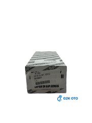 CAPTUR ÖN KAPI GERGİSİ 804308807R