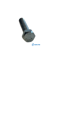 ŞANZIMAN CİVATASI KISA – R12 – OEM 7703001138