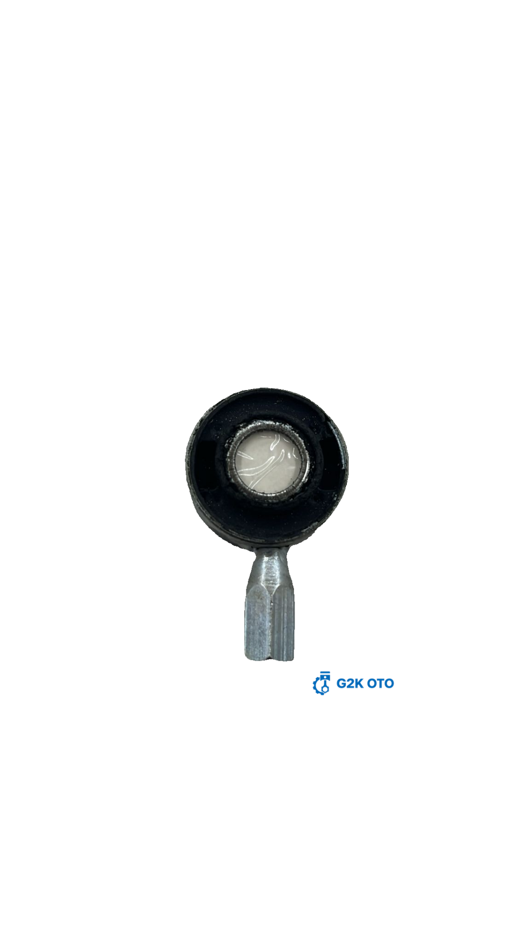 VİTES TEL YUVASI - BÜYÜK ALBEA-PALİO-SİENA 46800214